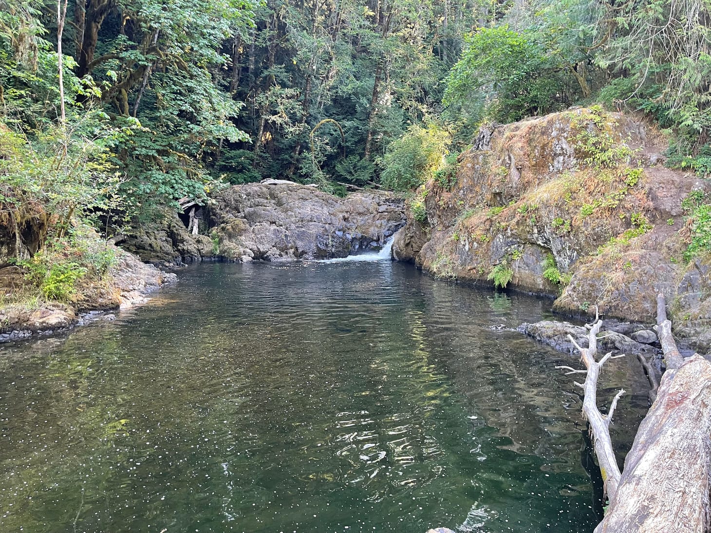 Day 66: Mossyrock, WA