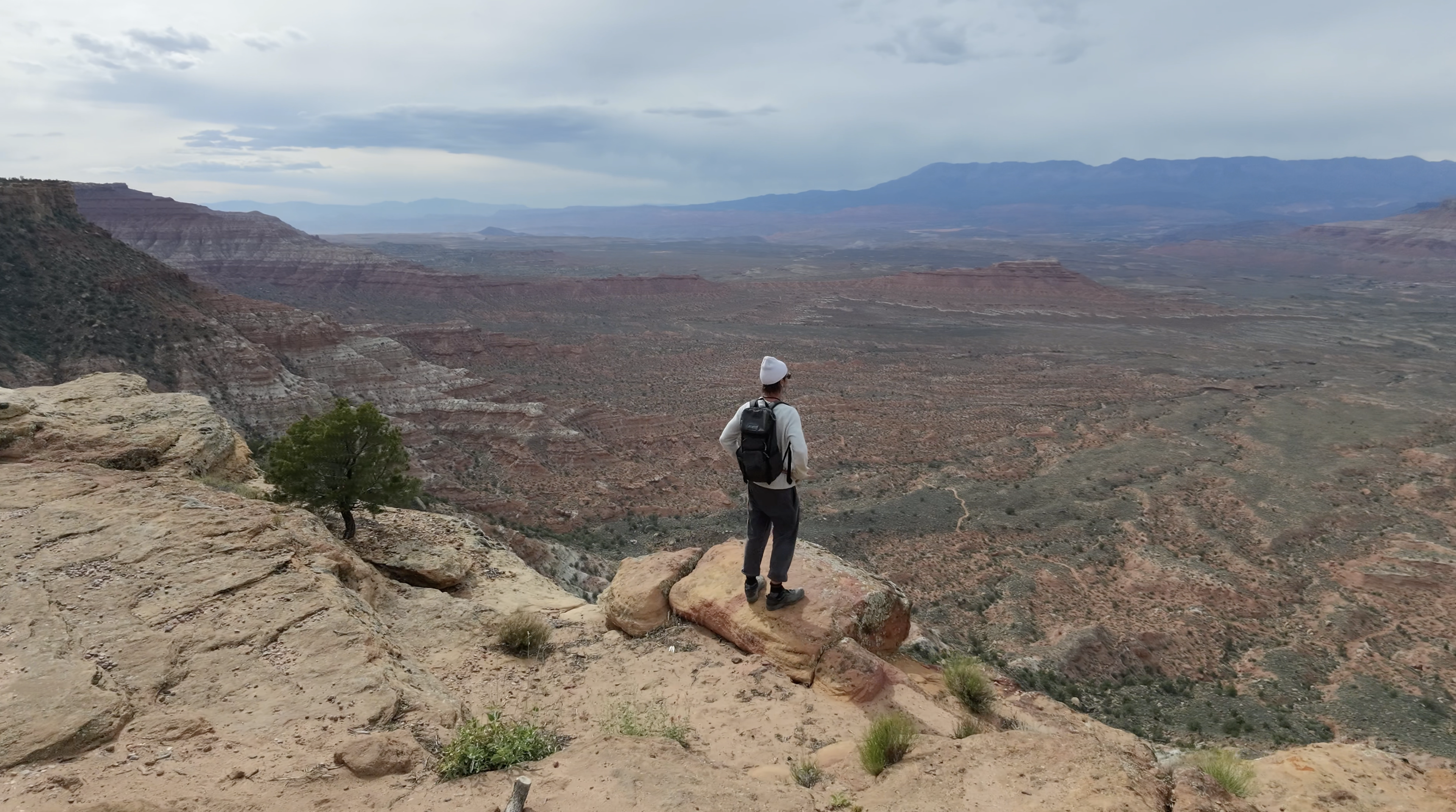 Looking out over a canyon