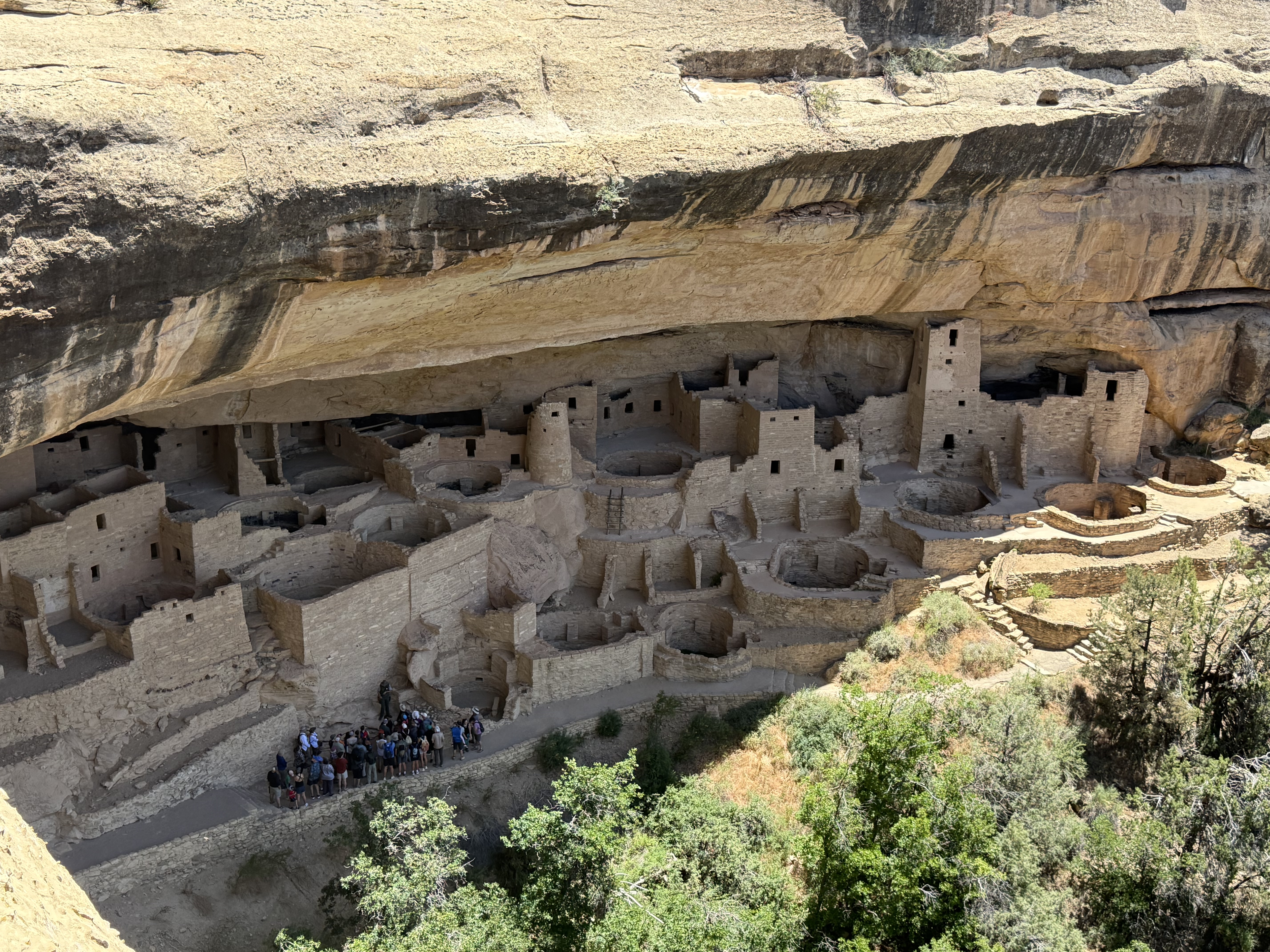 Cliff Palace at Mesa Verde, Colorado. Ancient Puebloan stone dwellings built into a sandstone alcove, preserved since 1100 AD.