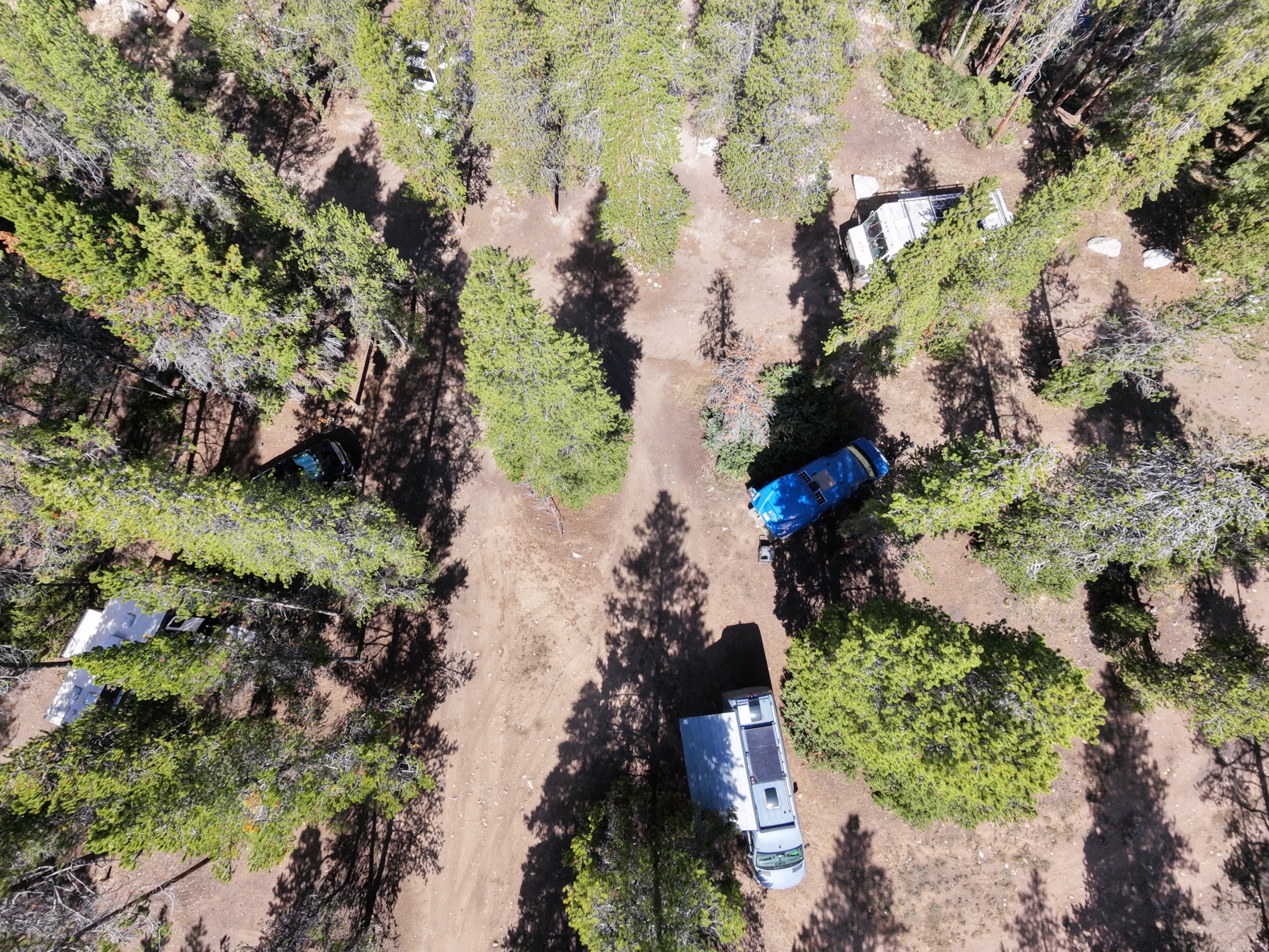 Aerial drone shot looking straight down at a nomad camp near Turquoise Lake in Leadville, Colorado, vans nestled among pines, Grayce visible at bottom with solar panels on the roof.