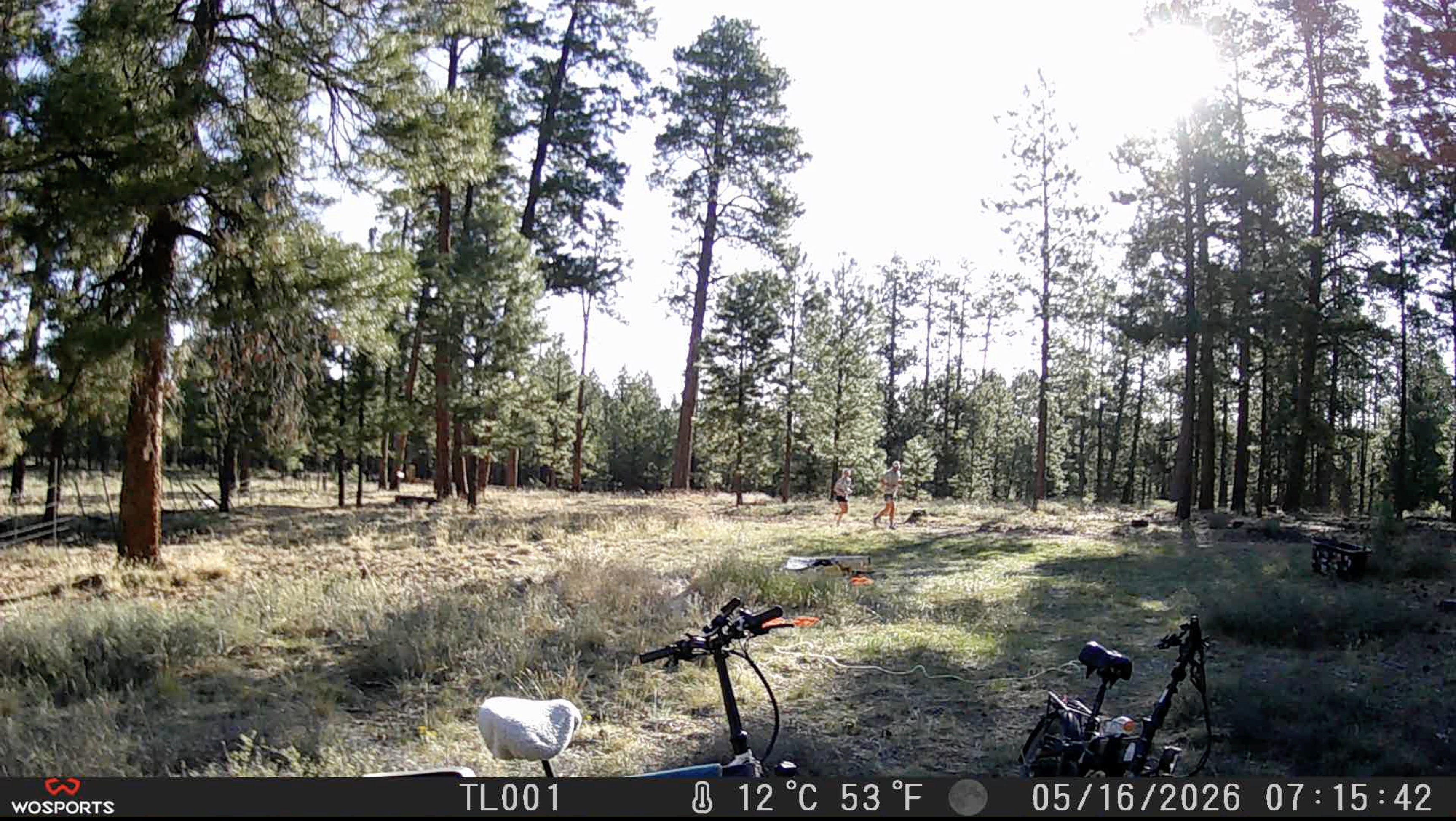 Game camera frame: two joggers passing through the ponderosa forest, bikes in the foreground, timestamp 07:15:42