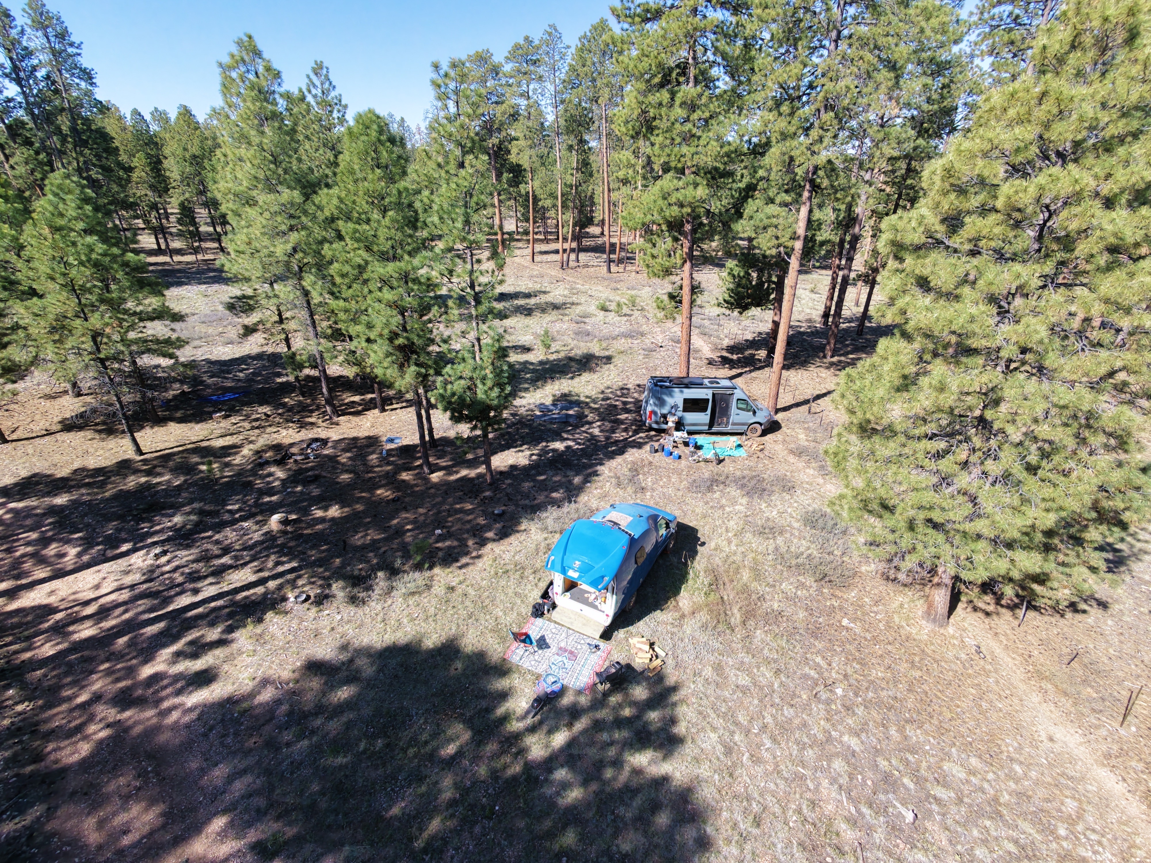 Drone view of two rigs parked deep in the ponderosa forest, Jacob Lake