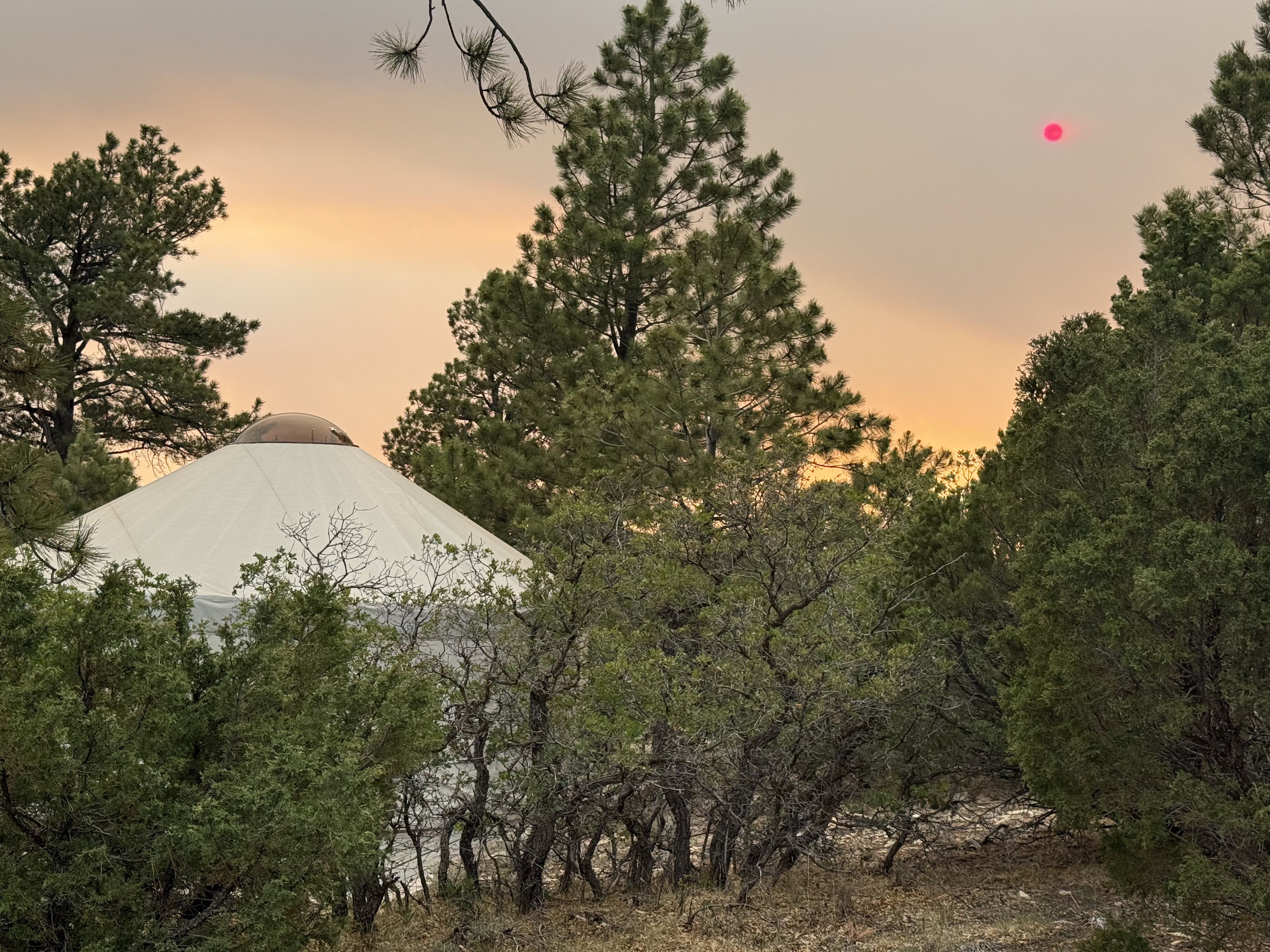 The yurt above Telluride at dusk, surrounded by pine trees, with wildfire smoke turning the sky orange and a bright red sun visible through the haze.