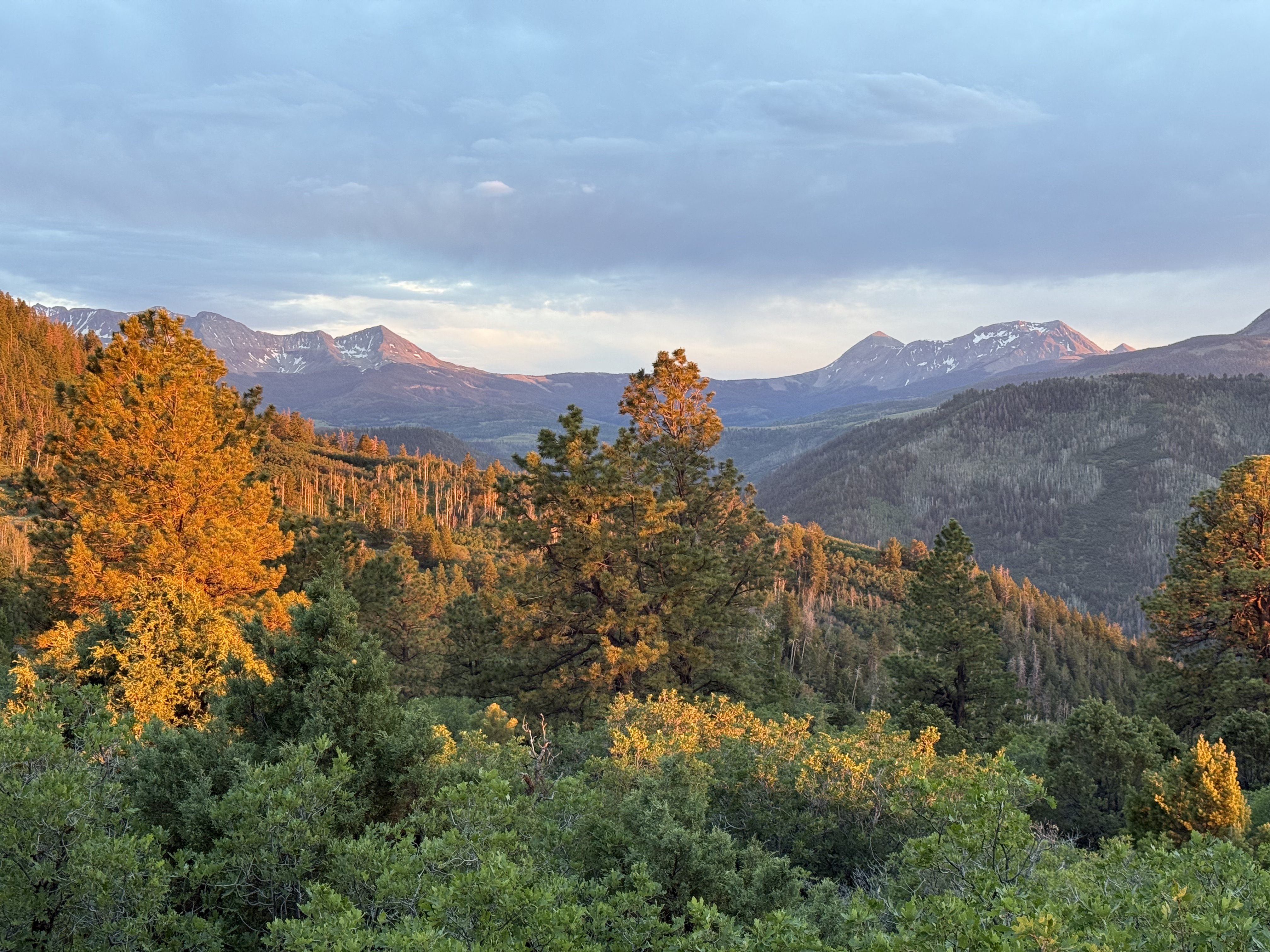 Golden-hour sunset from the yurt deck near Telluride, Colorado, ponderosa pines lit up orange in the foreground, snow-capped San Juan peaks behind.