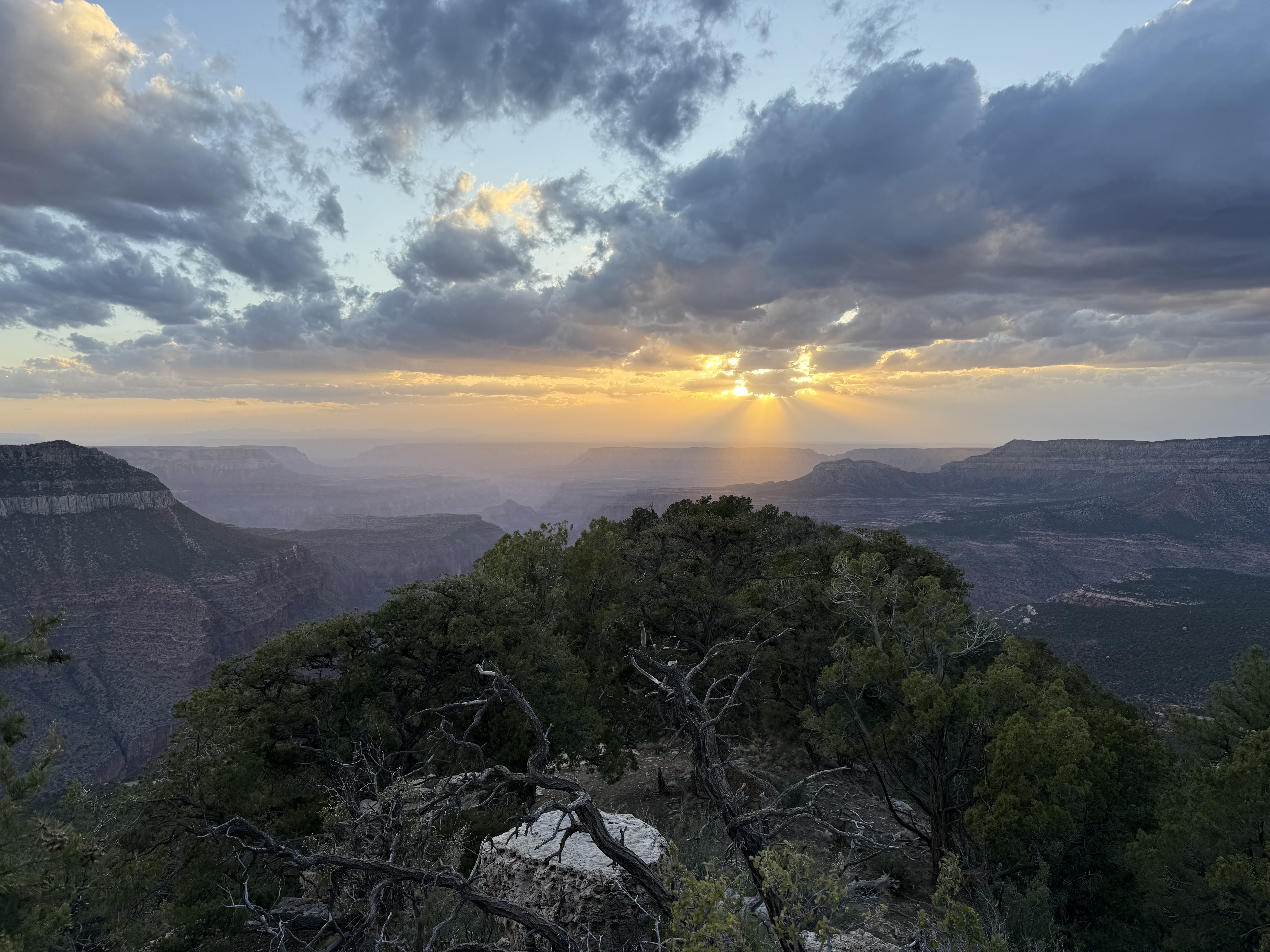 Sunset over the Grand Canyon from the North Rim, sun breaking through clouds above the vast canyon, green trees in the foreground.