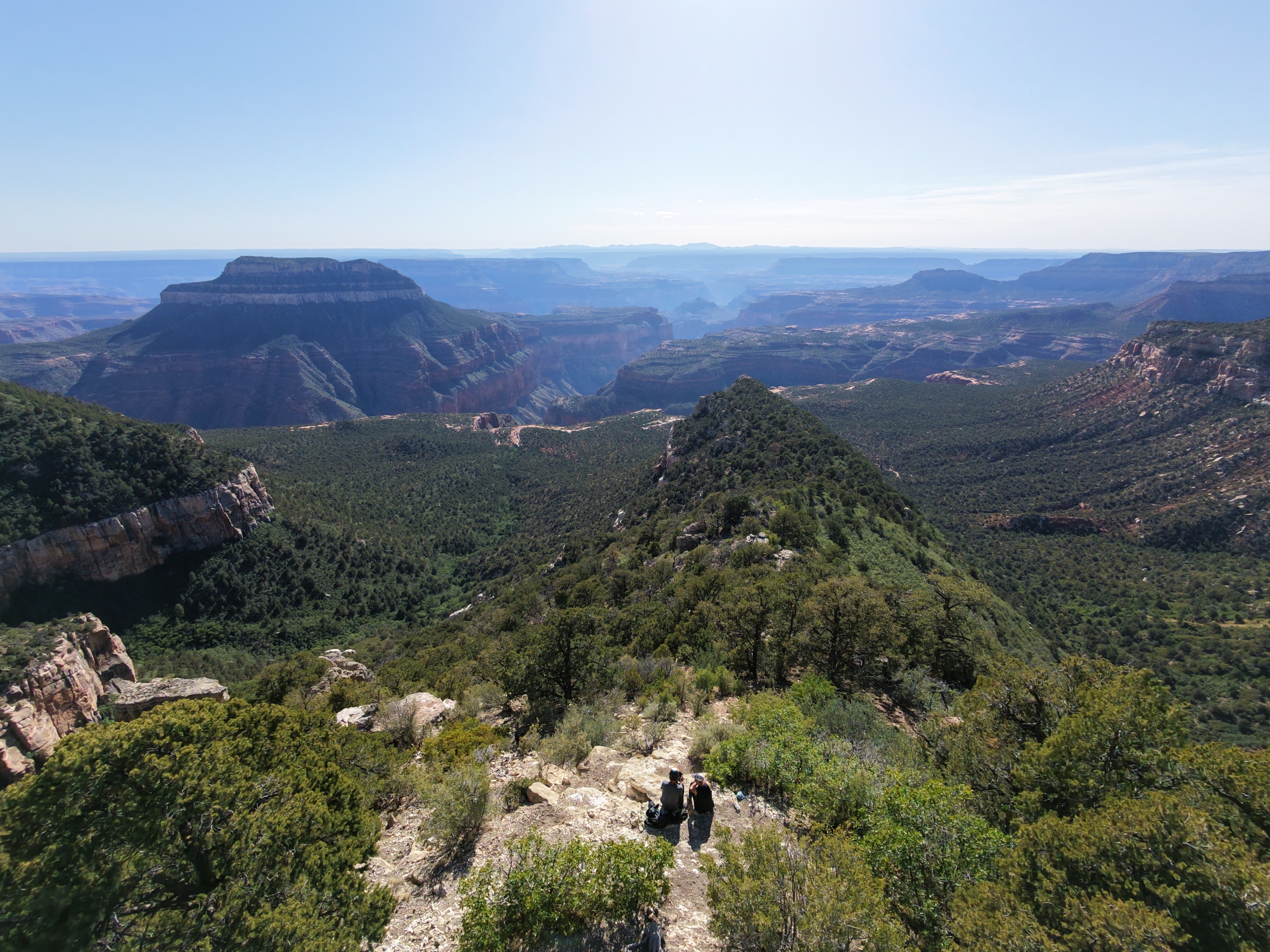 Two people at a Grand Canyon rim trail viewpoint, forested canyon walls dropping away below