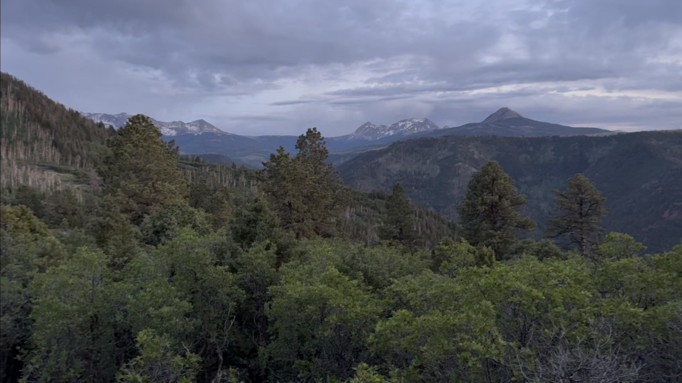 Dusk view from a ridge near Telluride, Colorado, looking out over forested slopes toward snow-capped mountains under a moody, fading sky.
