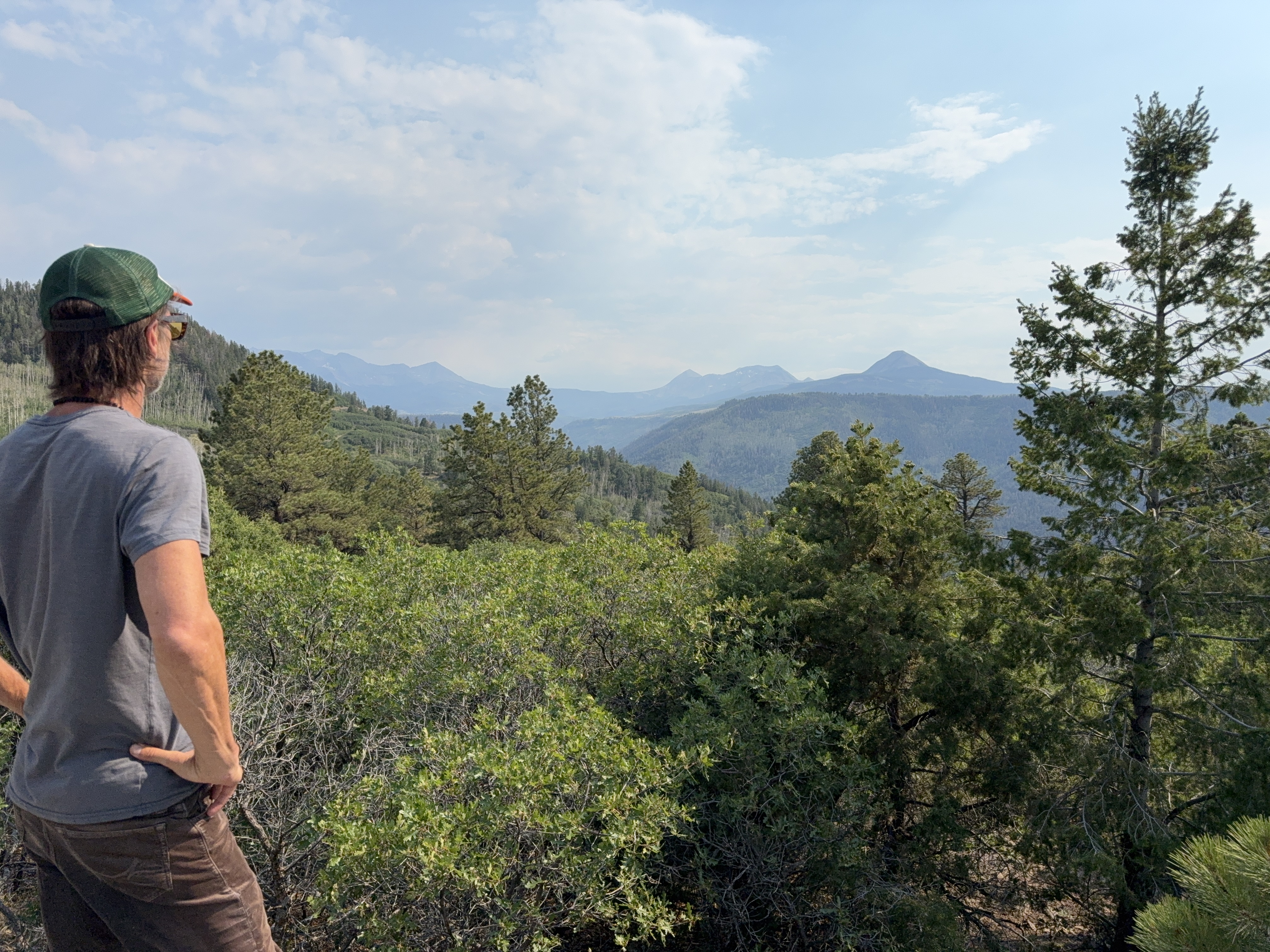 Standing at a mountain overlook near Telluride, Colorado, back to the camera, looking out over pine forest toward distant peaks